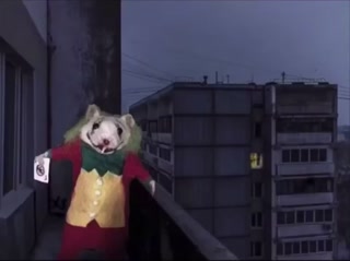 ff13827821e300a6.mp4